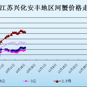 2013��10��17�ս��K�d�����S��з�r������