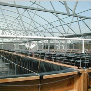 SIS����l(f��)���ܽ^���r(ji��) �Ї�(gu��)�H�r�r(ji��)���������