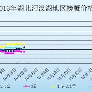 2013��10��21�պ����������з�r������