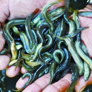 �M�����q������U(ku��)����Σ�C(j��)������