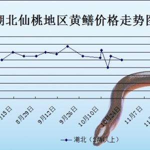 2013��10��23��ȫ���؅^�S�X���^�r