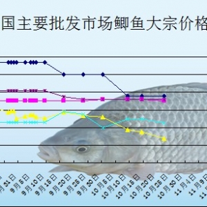 2013��10��25��ȫ����Ҫ���l�Ј��a�~�r������