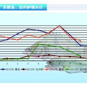 �����|���������� �r(ji��)���� ����ˮ�a(ch��n)ǰ�ء�2013��11�¿��Ј�څ��