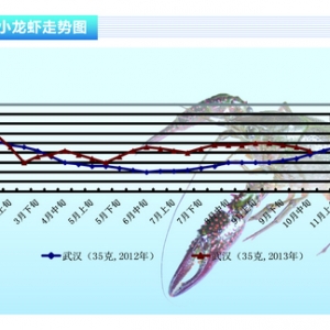 С���r�������c�r��ͬ�r�½� ����ˮ�aǰ�ء�2013��11�¿��Ј�څ��