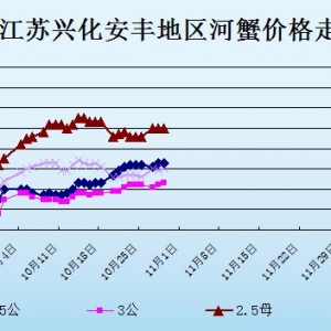 2013��10��29�ս��K�d�����S��з�r������