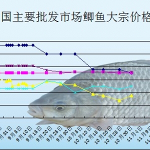 2013��11��5���a�~�Ј����l�r������