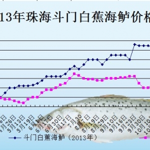 2013��11��8�������ǵ؅^�׽����|���^�r������