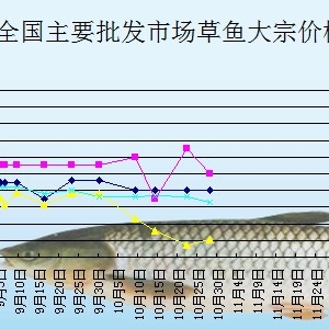 2013��12��2�պ����Lɳ�t���r���aƷ���Ј����~�r��