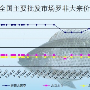 2013��12��9���_���~�r��