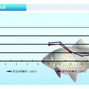 �a�~���u�~���� �r���»� ����ˮ�aǰ�ء�2013��12�¿��Ј�څ��