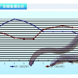 ���~���N���M�뵭�� �����Ј����� ����ˮ�aǰ�ء�2013��12�¿��Ј�څ��