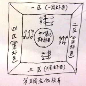 Խ�����Bֳģʽ����EMS�@�óɹ����ϣ�