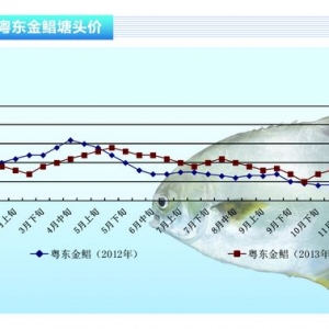 ���K�~�����|�r(ji��)���½� �������σr(ji��)���ϝq����ˮ�a(ch��n)ǰ�ء�2014��1�¿��Ј�څ��