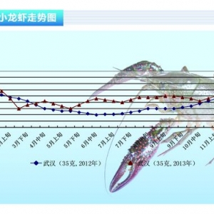 С���r�������½� �r���ϝq ����ˮ�aǰ�ء�2014��1�¿��Ј�څ��