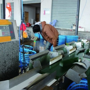 ���أ����|���������N(xi��o)������