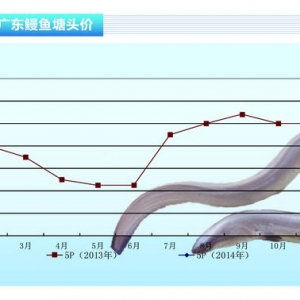 ���~�������������󡪡�ˮ�aǰ�ء�2014��3�¿��Ј�څ��