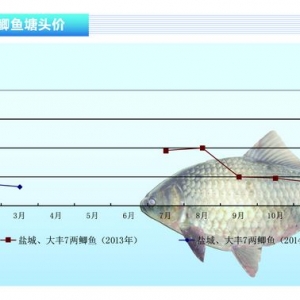 �a�~�����m���� ���ڝq�r�o������ˮ�aǰ�ء�2014��4�¿��Ј�څ��