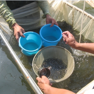 2014�A���_���~��I(y��)�^�죨�£�