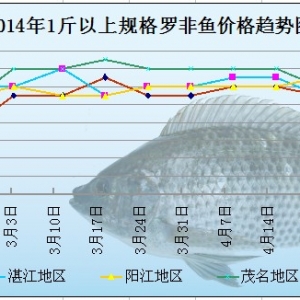 2014��4��29-5��5���_���~�܈�Ͷ��ӽ�β  �_���~���كr��