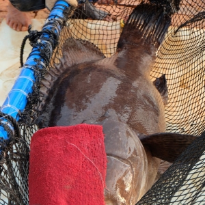 ʯ���Bֳ������1-2��