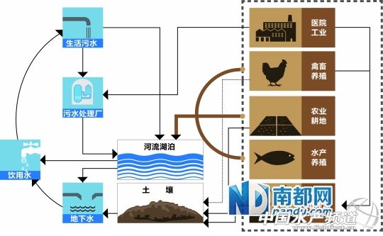 <p>&nbsp;&nbsp;&nbsp;&nbsp;������֮��</p>