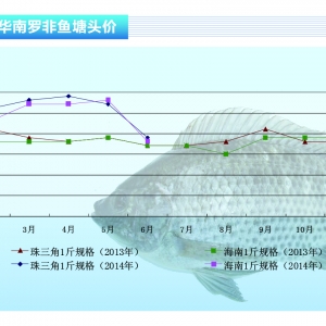 �_���~���r������^�󡪡���ˮ�aǰ�ء�2014��7�¿��Ј�څ��