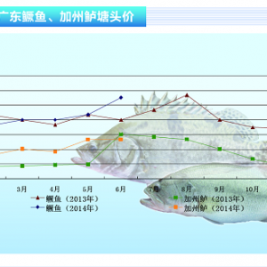 ���~�� 7�·݃r�񷀶�������ˮ�aǰ�ء�2014��7�¿��Ј�څ��