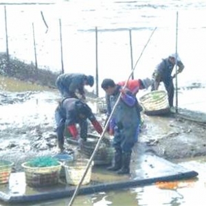 ���u�����ˆT����������з��Ʒ�N�����1̖��