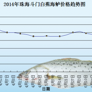 2014��8��6�պ��|�܈��Ј��������� �r���ϝq