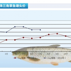 ���~��������� �r�������½�������ˮ�aǰ�ء�2014��8�¿��Ј�څ��