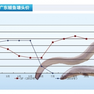 ���~�����a�����ձ��Ј����Ρ�����ˮ�aǰ�ء�2014��8�¿��Ј�څ��