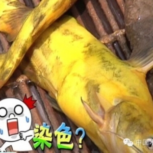 �S��~����ɫ�Ϸ� �wɫ׃����Դ�چ��}ԭ��