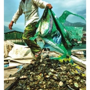 ȱ��ˮ�س��mƫ�����_Դ���U�~����e����