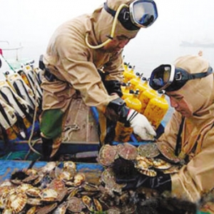 ��Ӎu�����Z�¼���ˮ�a�Bֳ�Iܛ��