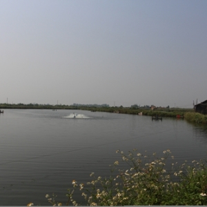 �B�r������Ο��ɣ��{ˮ�M��һ����λ��