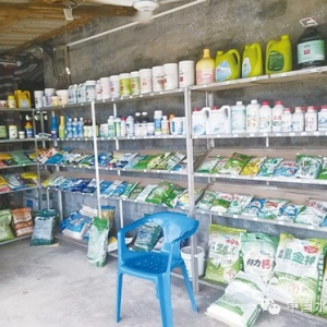 �Oˎ��I�ځy�Ќ�����