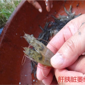 2014��V�����r�a������3�ɣ�