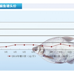 ���~������ǰ�K�����~�ɽ����Դ󡪡���ˮ�aǰ�ء�2015��3�¿��Ј�څ��