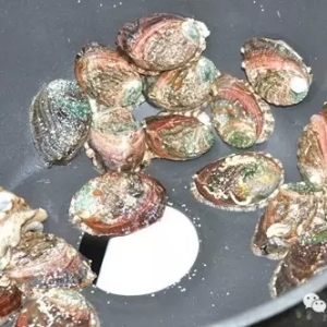 �G�P�U����U�~�I�µ����BƷ�N