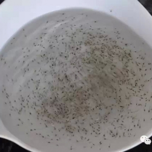 �����r��Iȫ�^��