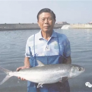  �������v�_��ʭĿ�~�a�I�lչʷ