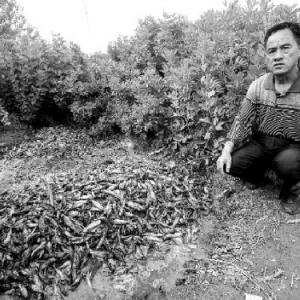 ��������350�f���t�~�����E����