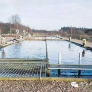 �҂�����W�޸�Чˮ�a�Bֳ�Wʲô��