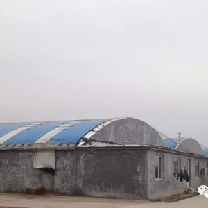 Մɽ�|������B(y��ng)�r��