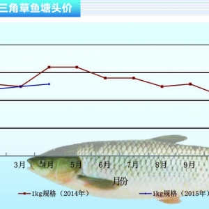 ���~���r��ֹ���֏�?������ˮ�aǰ�ء�2015��5�¿��Ј�څ��