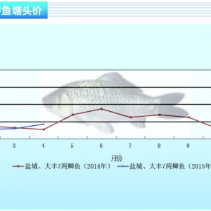 �a�~�r�������ϝq���g������ˮ�aǰ�ء�2015��5�¿��Ј�څ��