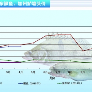 �����|�r��������������ˮ�aǰ�ء�2015��5�¿��Ј�څ��