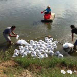 �ĘI(y��)�������Ҍ�(du��)��(d��ng)ǰ�B(y��ng)�r�I(y��)�Ď��c(di��n)������