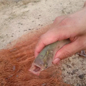 ���܅^�ֳ��@Щ�~��ʲô���^�᣿
