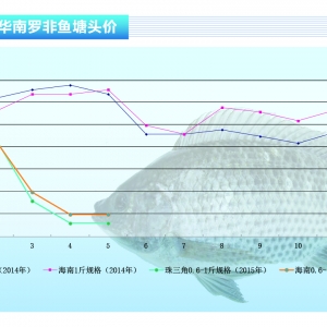 �_���~�����Q������ �����~�r�y�q������ˮ�aǰ�ء�2015��6�¿��Ј�څ��